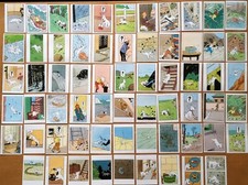 TINTIN: 64 STUNNING CHROMOS (PAPER) SNOWY SNOWY SNOWY - BUBBLE GUM WITH HONEY -MINT