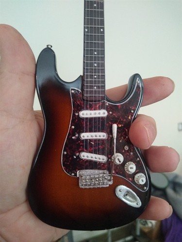 Fender sunburst strat tortue - strat, w/tortue