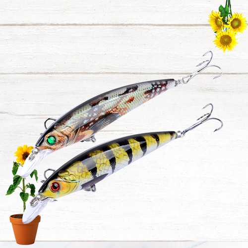 Pêche eau salée - ,