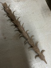 Grande Grille de Défense Fer