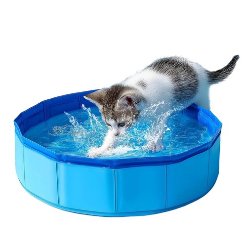Petit piscine chat 10cm - petit, 30×10cm