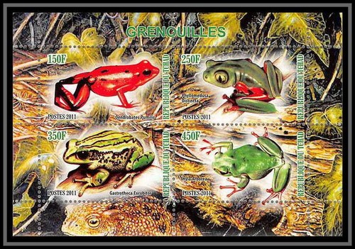 2136 tchad dendrobates - tchad,