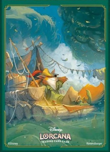 Sleeve robin hood - 1,