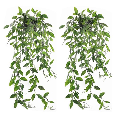 Plantes artificielles - plantes,