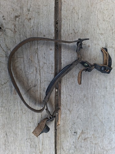 Jugulaire mentonnière casque - ,