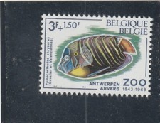 L7032 BELGIQUE TIMBRE N° Y&T