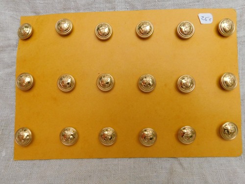 Infanterie coloniale troupes - coloniale,