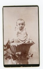 PHOTO photograph CDV, a baby poses in a wicker basket