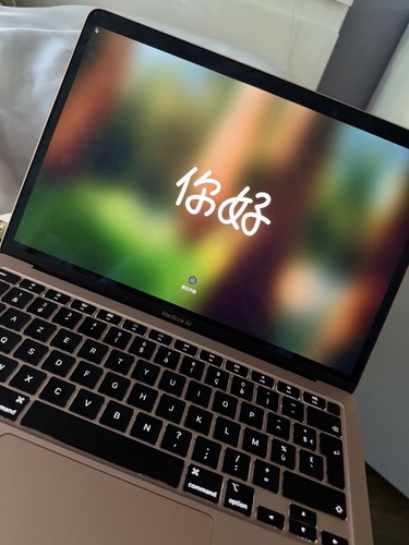 Apple macbook air 512 go - apple,