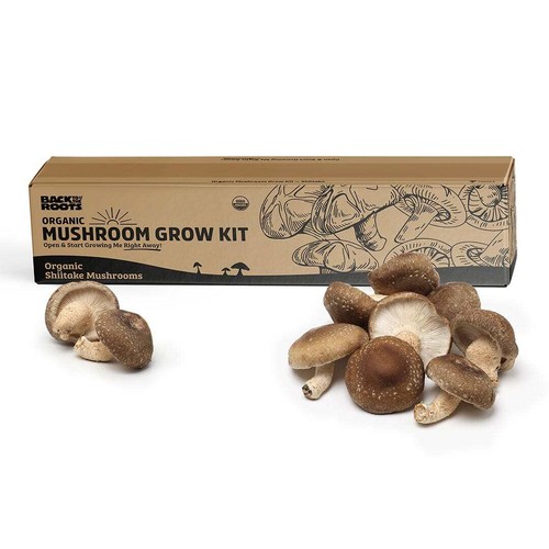Organic shiitake mushroom - organic,