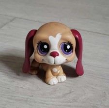 Rare Authentic Littlest Pet