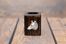 Collie À Poil Court -