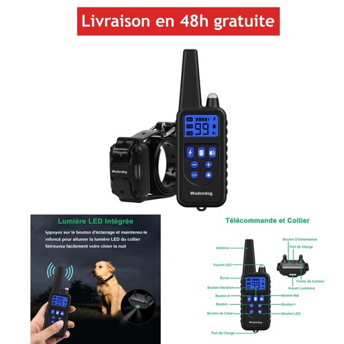 Collier dressage - collier,
