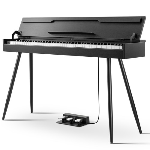 Donner ddp digital - ddp-55,