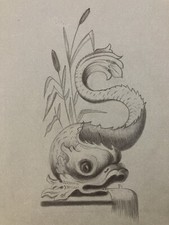 Très Beau Dessin XIXe Oiseau