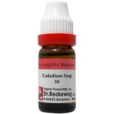 2 X Dr. Reckeweg Caladium Seguinum 30 CH (11ml) + Livraison Gratuite USA