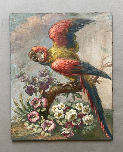 Perroquet huile sur - huile, carton