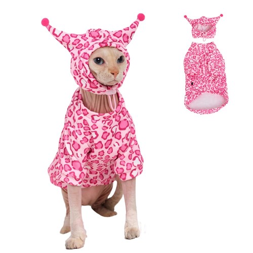 Gigglyhouse sphynx cat - gigglyhouse,