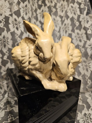 Rare tay italy - rare, rabbits