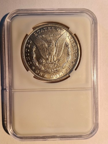 Magnifique reproduction morgan - magnifique,