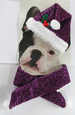 Deguisement pour PETIT CHIEN