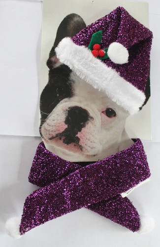 Deguisement pour petit chien - pour,