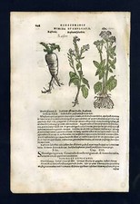 Gravure estampe illustration