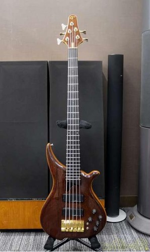 Guitare basse électrique - , tune