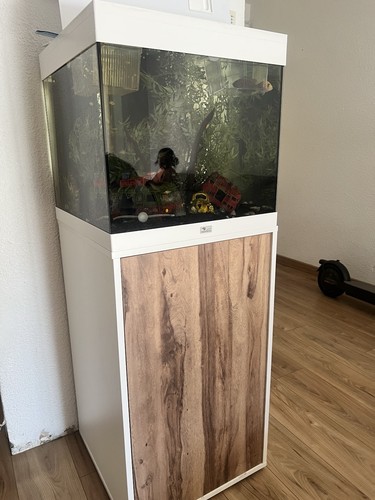 Aquarium aquatlantis complet - aquarium,