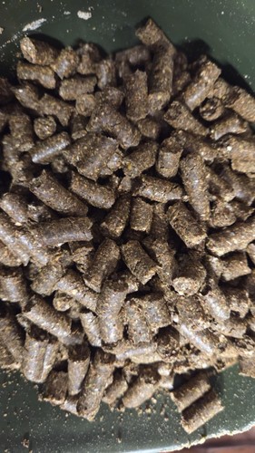 10kg pellets carpe - 10kg, de
