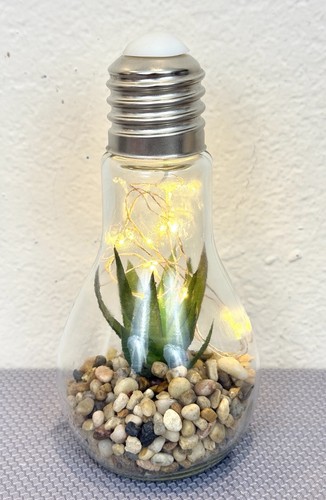 Led light bulb - led, succulent