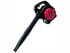 Aspirateur Souffleur 1000 W 2