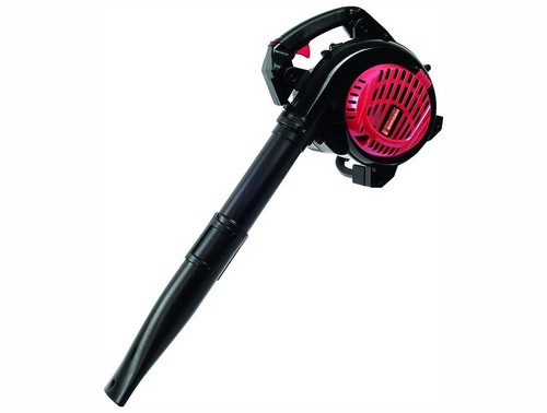 Aspirateur souffleur 1000 2 - 1000,