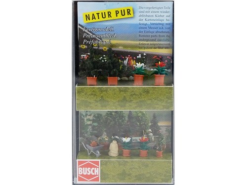 Busch fleurs plantes en - et,