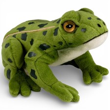 Grenouille Carl Dick