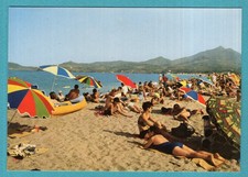 Argelès-sur-Mer: La Plage au fond les Albères / postcard - postcard /