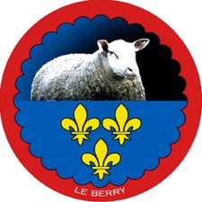 mouton Berrichon - 5 cm -