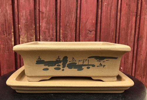 Pot bonsaï avec soucoupe - bonsaÏ,