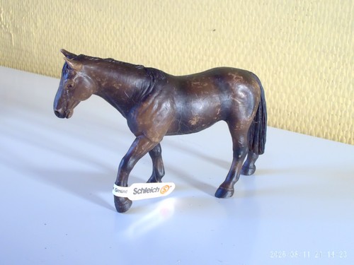 Cheval jument holstein - jument,