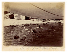 Men in a natural pool, vintage print, ca.1890 Men in a pool