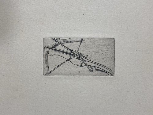žibuntas mikšys gravure - mikšys,