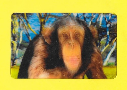 Carte cora match n 02 - carte, n°02/44