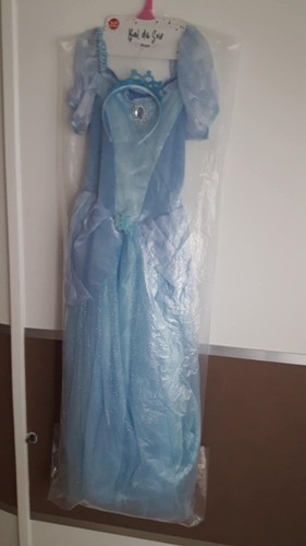 Robe princesse cendrillon - robe,