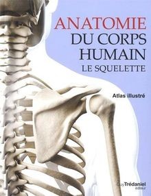Anatomie corps humain - anatomie, du