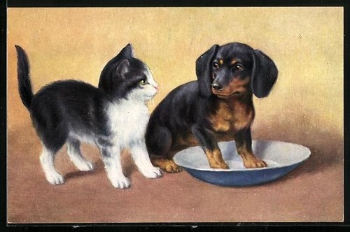 Carte postale chiot teckel - , et