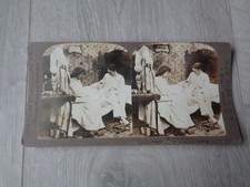 AMERICAN STEREOSCOPIC CO  NEW YORK USA HE RULES THE ROOST  C'EST LUI QUI REG