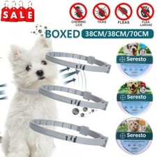 Protection Collier De Puces Et