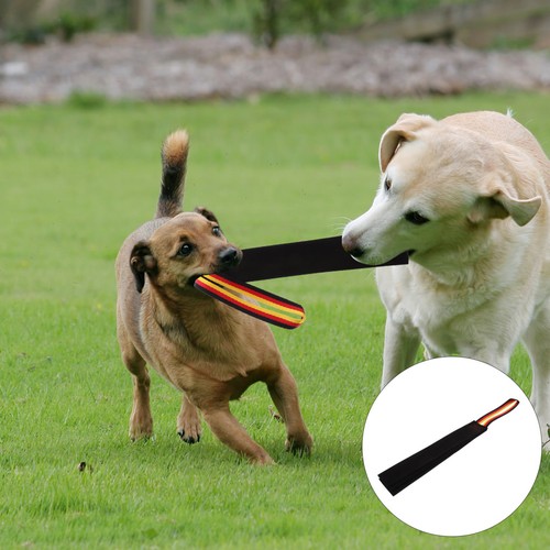 Jouets mâcher pour chien - mâcher,