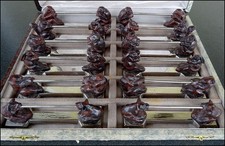 ANCIENNE SERIE DE 12 PORTES