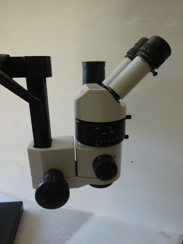 Loupe binoculaire leica wild - binoculaire,
